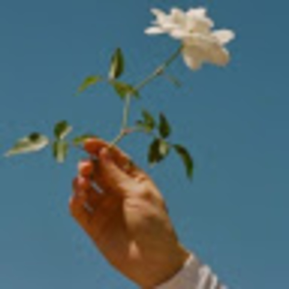 Meet your Posher, Claire